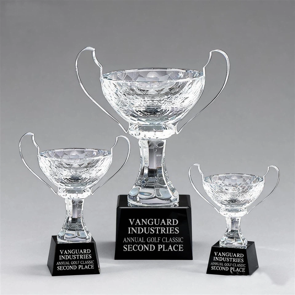 Ginsup lam Cup Crystal Bowl Trophy